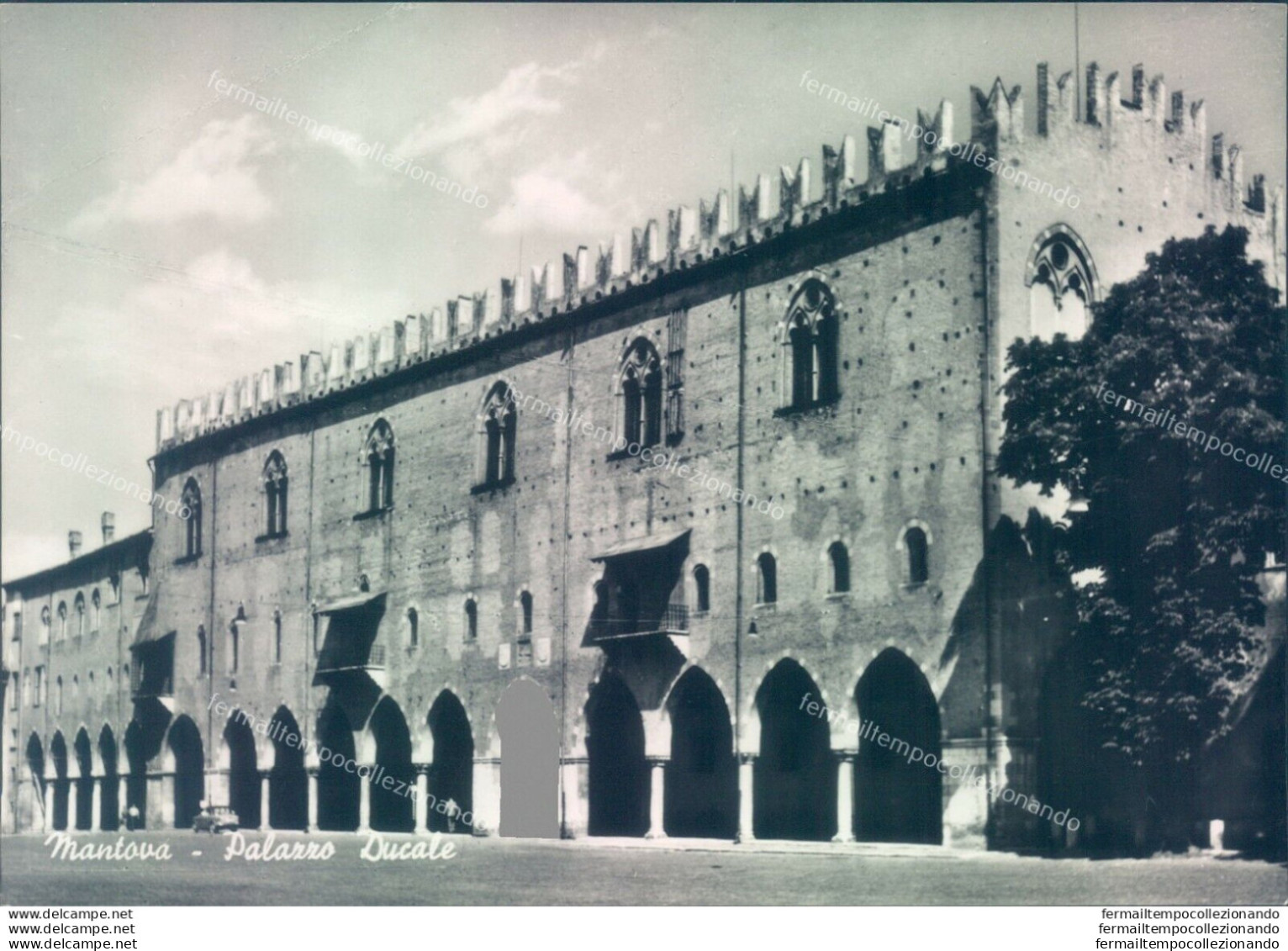 P76 Cartolina Mantova Citta'  Palazzo Ducale - Mantova