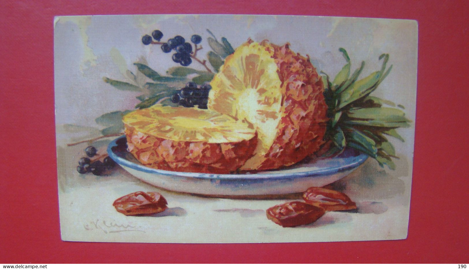 Catharina Klein - Fruits: Pineapple And Date. - Klein, Catharina