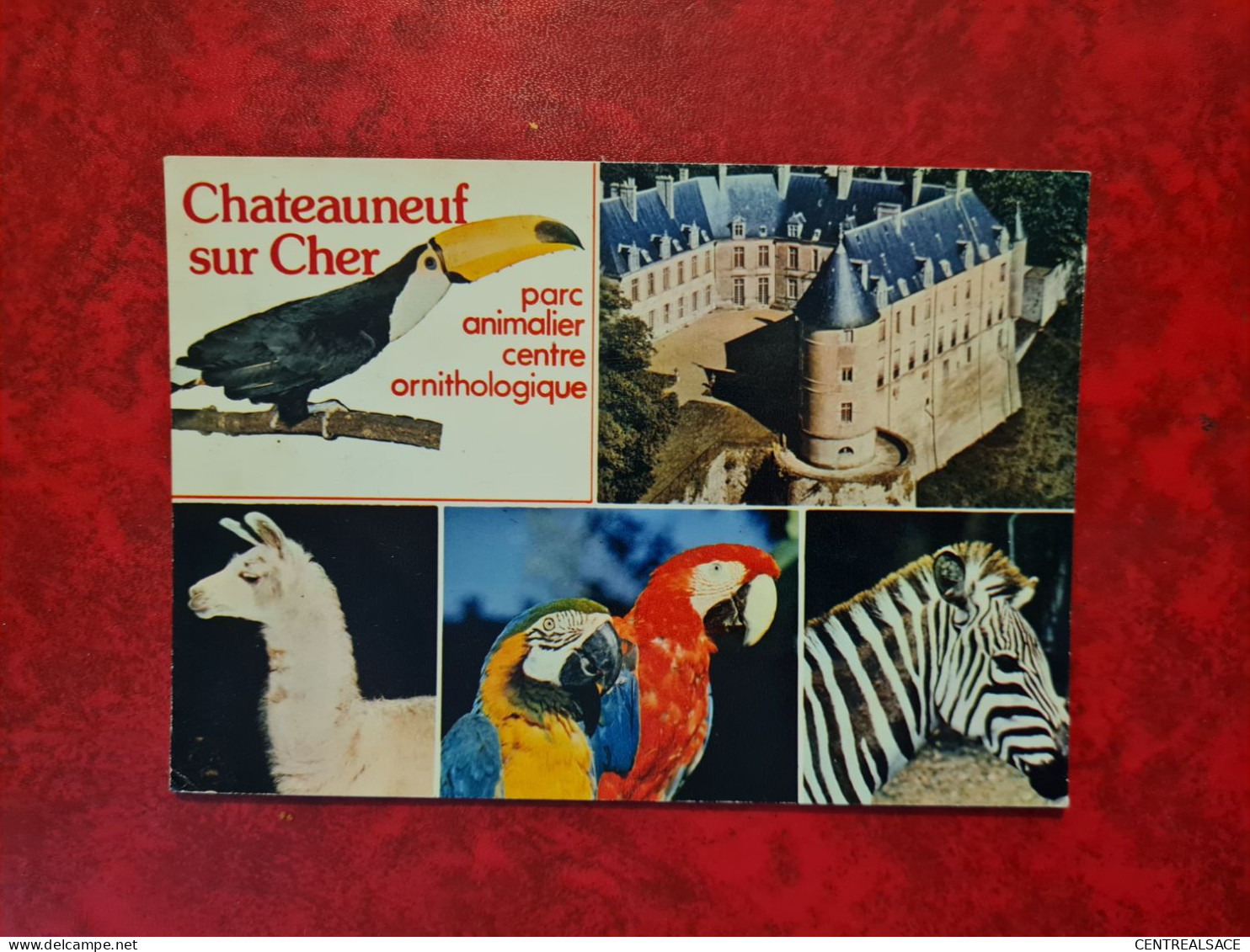 Carte CHATEAUNEUF SUR CHER PARC ANIMALIER CENTRE ORNITHOLOGIQUE - Chateauneuf Sur Cher