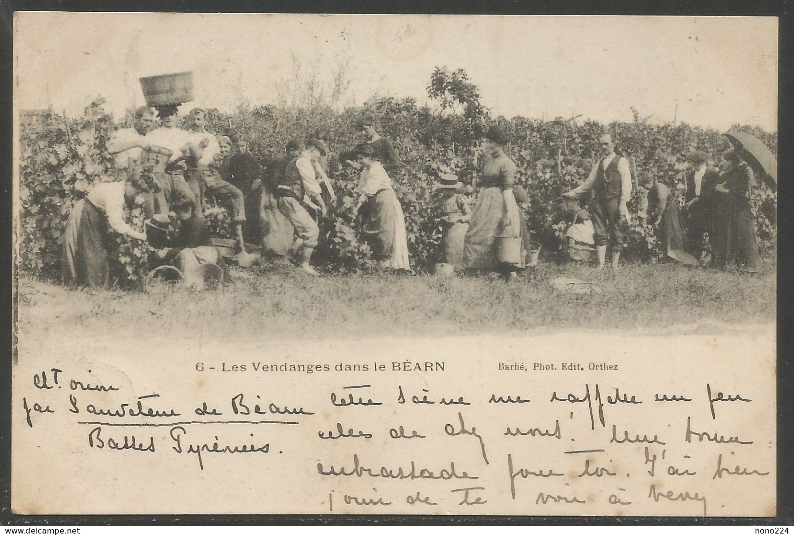 Carte P De 1906 ( Les Vendanges Dans Le Béarn ) - Bearn