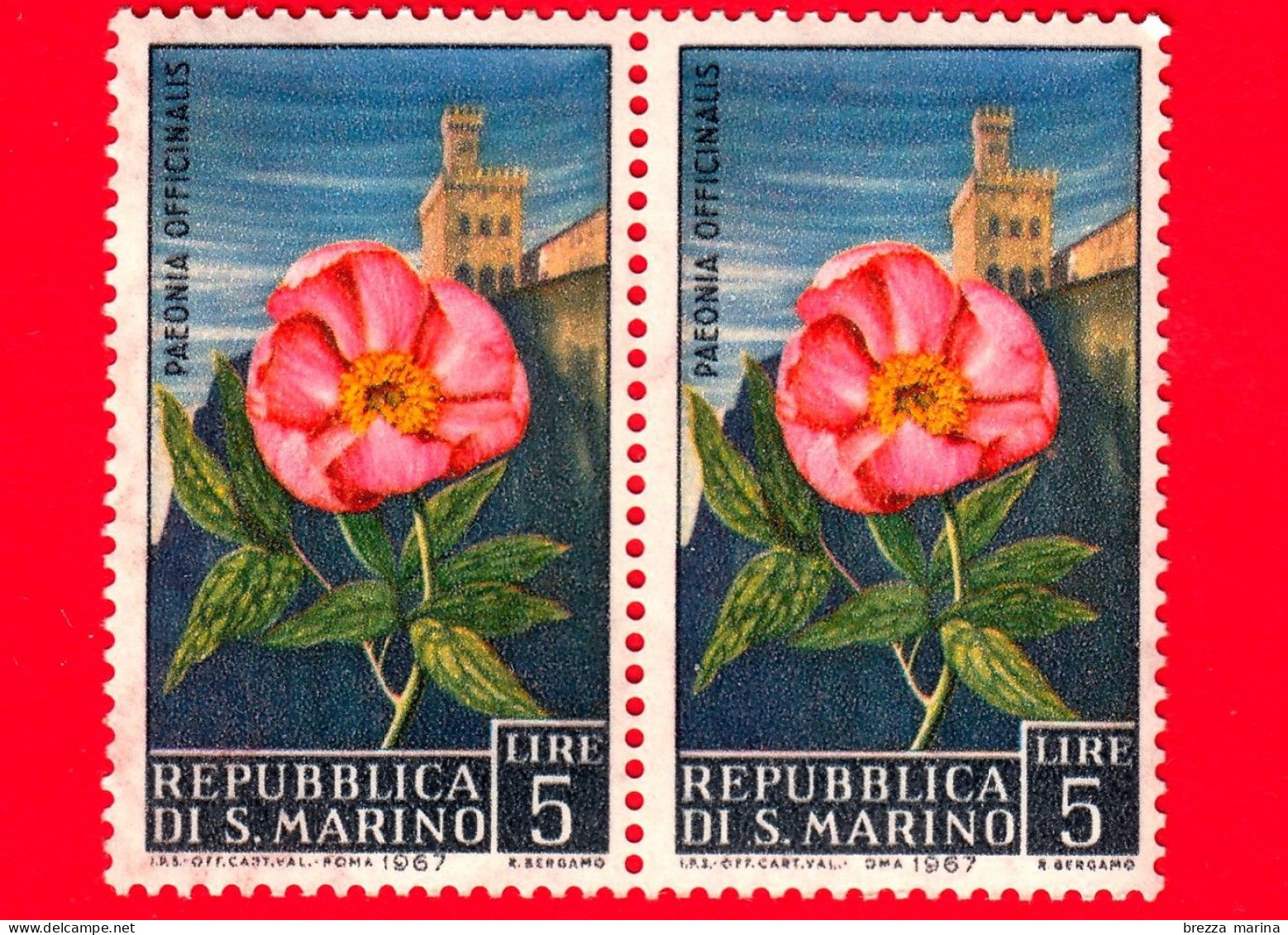 Nuovo - MNH - SAN MARINO - 1967 - Fiori - 3ª Emissione - Paeonia Officinalis - 5 - Nuovi