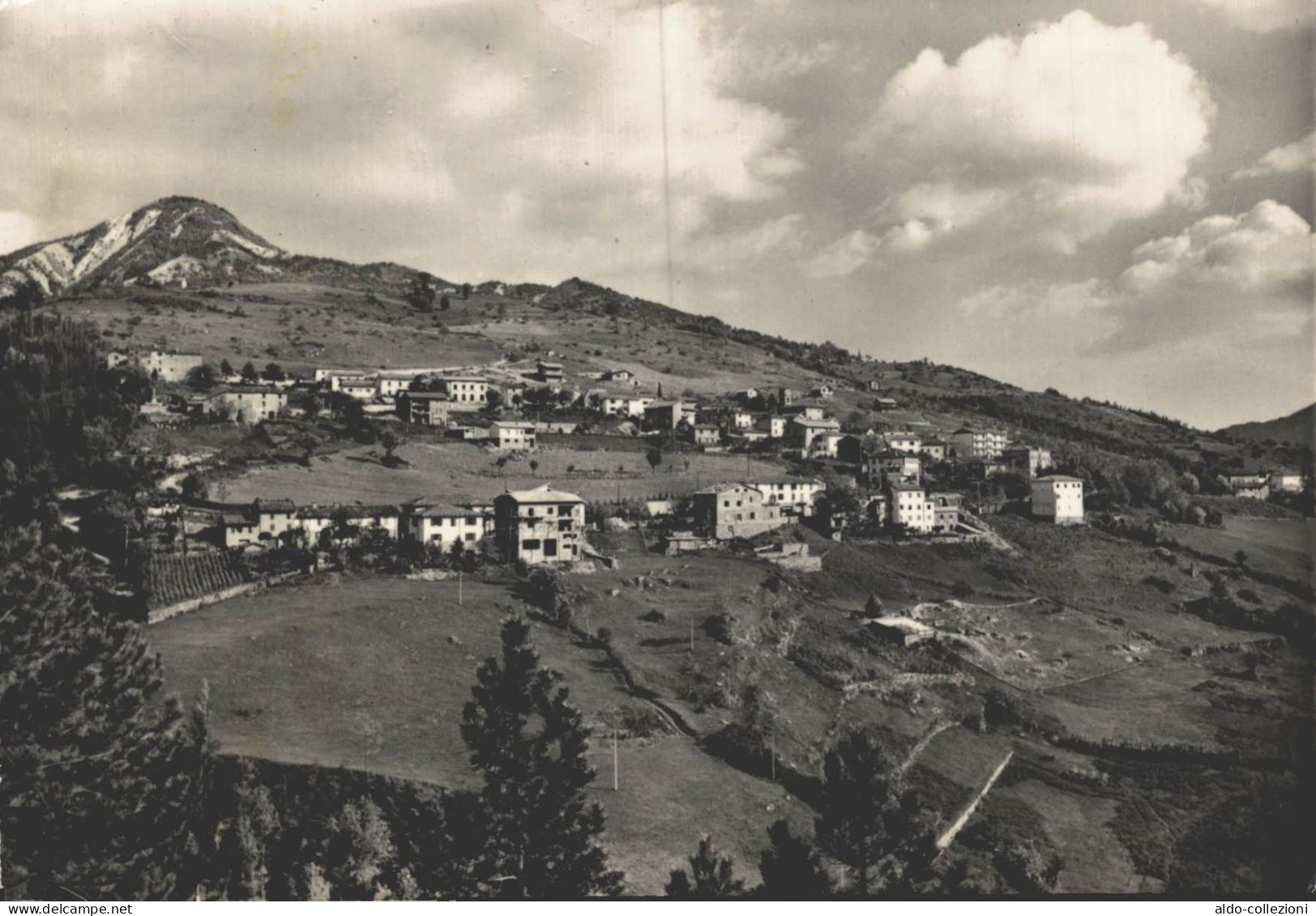 Forlì Corniolo Alta Valle Del Bidente Foresta Di Campiglia FG V565 - Forlì