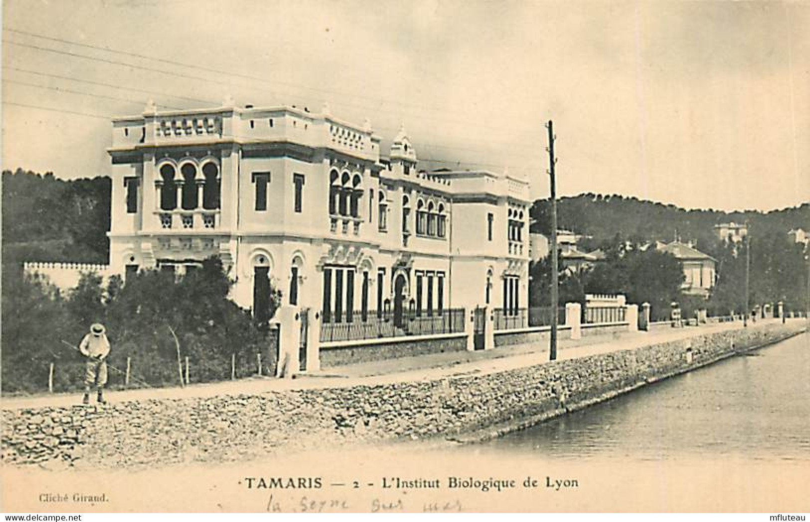 83* TAMARIS Institut  Biologique            MA81.1243 - Tamaris