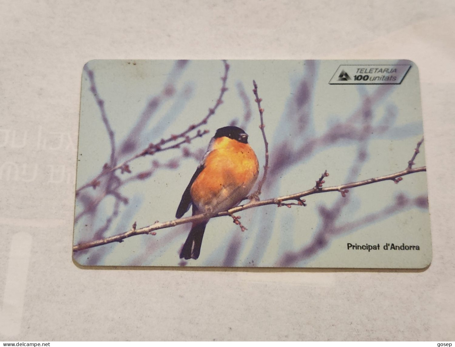 ANDORRA-(AD-STA-102)-Bullfinch-(13)(100units)-(01/03/99)(tirage-20.000)used Card+1card - Andorra