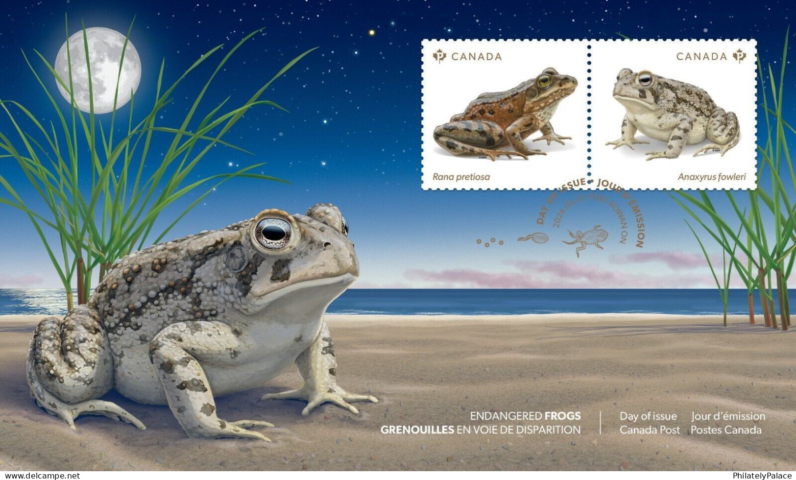 Canada 2024, Endangered Animal, Reptile, Frog, Pond, Leaf,Toad, Egg,Moon, FDC Cover (**) - Cartas & Documentos