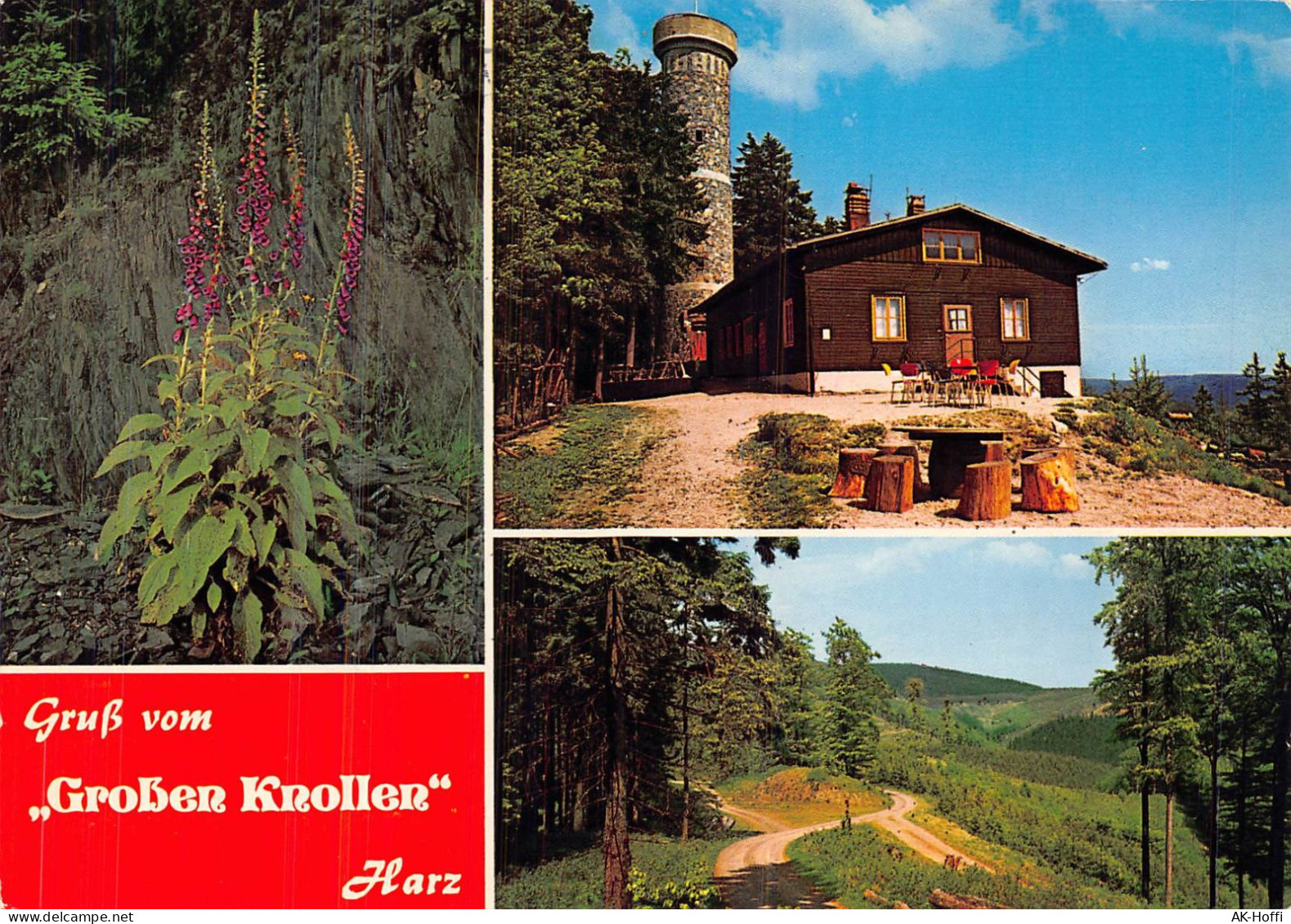 WANDERHÜTTE GROSSER KNOLLEN / Südharz  Landkreis Göttingen - Goettingen