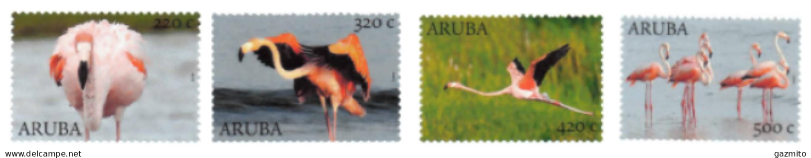 Aruba 2022, Flamingoes, 4val - Flamingos