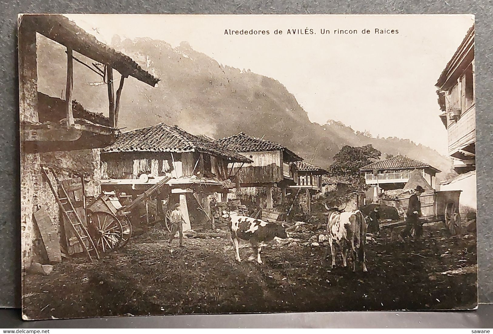 ALREDEDORES DE AVILES , UN RINCON DE RAICES , A60N - Asturias (Oviedo)