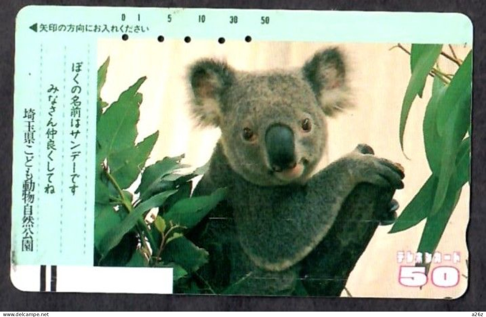 Japan 1V Koala Saitama Zoo Used Card - Jungle