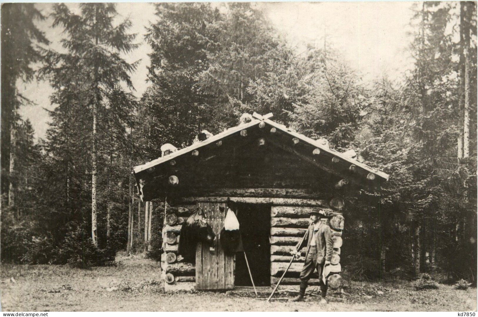 Achensee/Tirol Und Umgebung - Hütte Im Wald - Achenseeorte