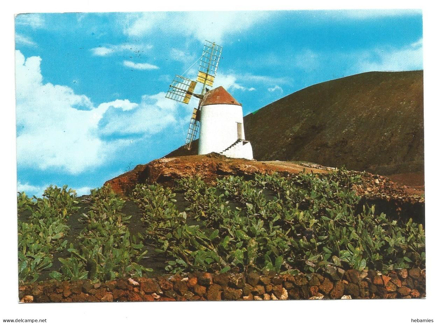 TYPICAL WINDMILL - LANZAROTE - CANARY ISLANDS -  SPAIN - - Moulins à Vent