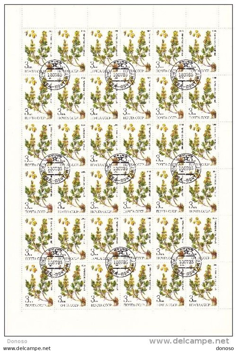 URSS 1985 PLANTES  3 Planches De 36 Yvert 5232-5243, Michel 5528-5530 Oblitéré, Used; Cote Yv 21.60 Euros - Feuilles Complètes