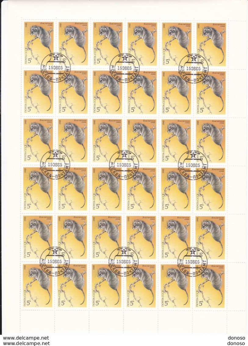 URSS 1985 ANIMAUX LEROT Planche De 36 Yvert 5242, Michel 5539 Oblitéré, Used; Cote Yv 7.20 Euros - Feuilles Complètes