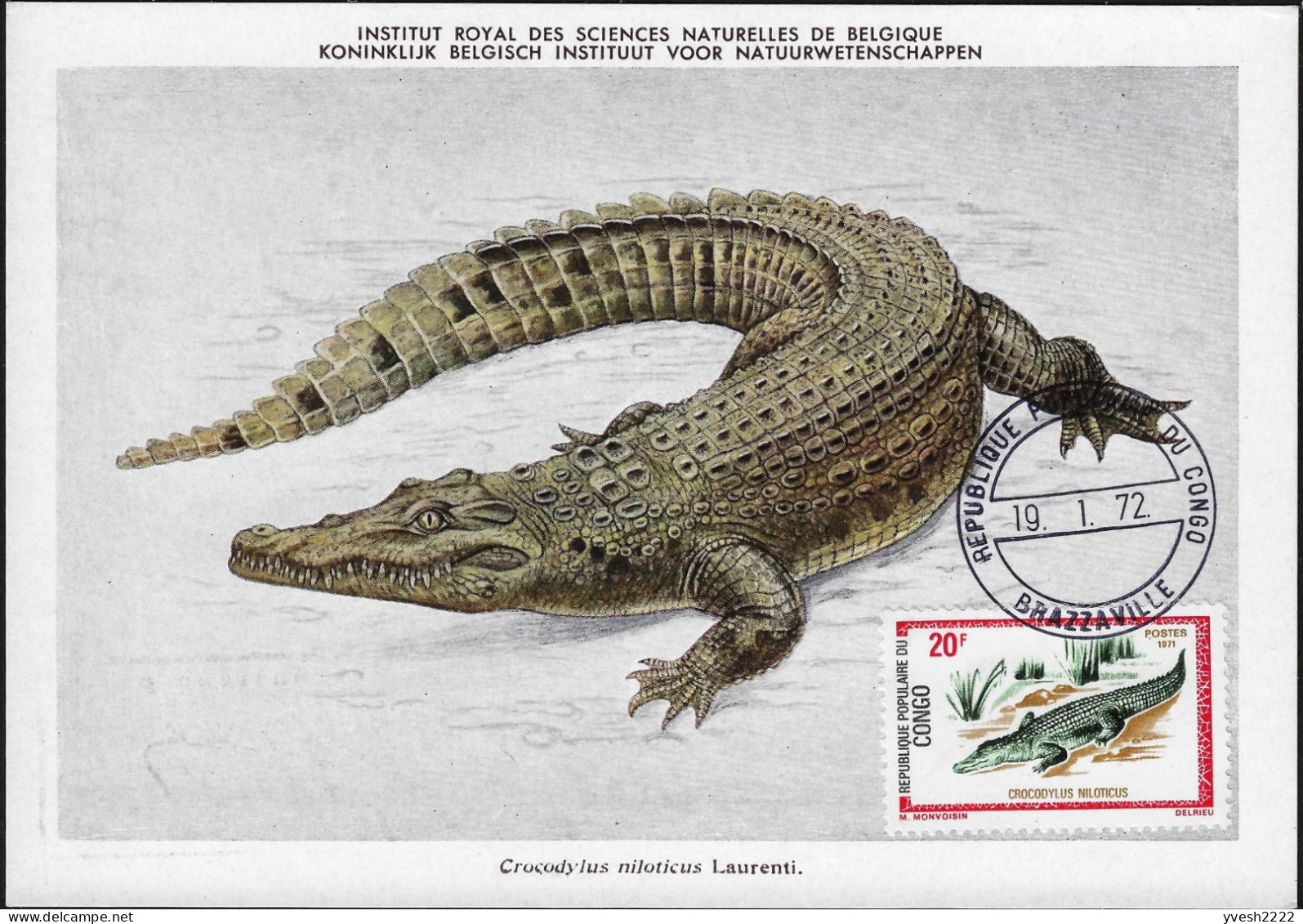 Congo Brazza 1971 Y&T 292, Carte Maximum. Reptile, Crocodile - Autres & Non Classés