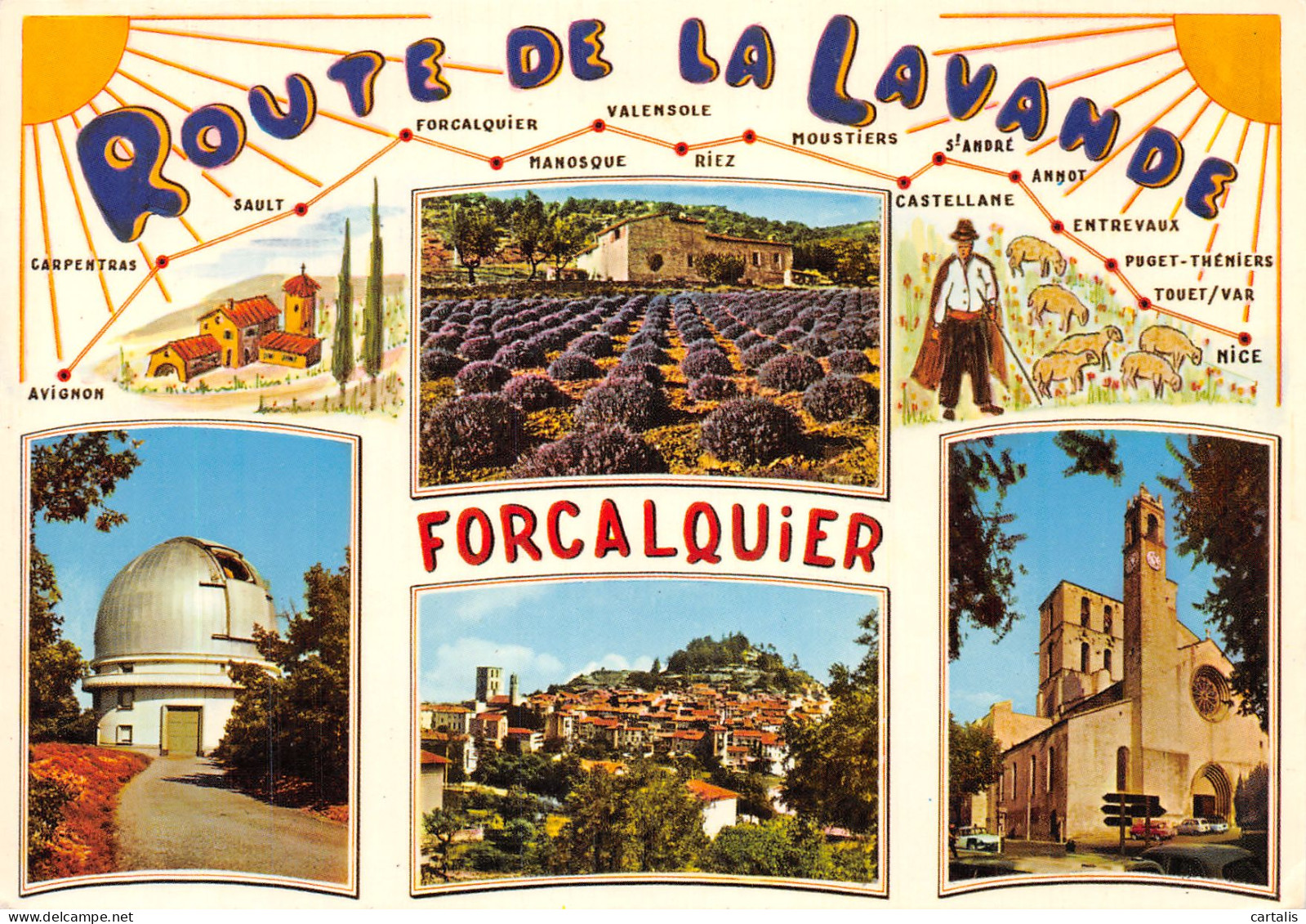 04-FORCALQUIER-N°4241-C/0117 - Forcalquier