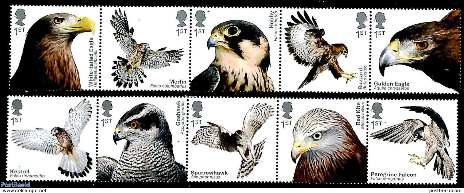 Great Britain 2019 Birds Of Prey 10v (2x[::::]), Mint NH - Neufs