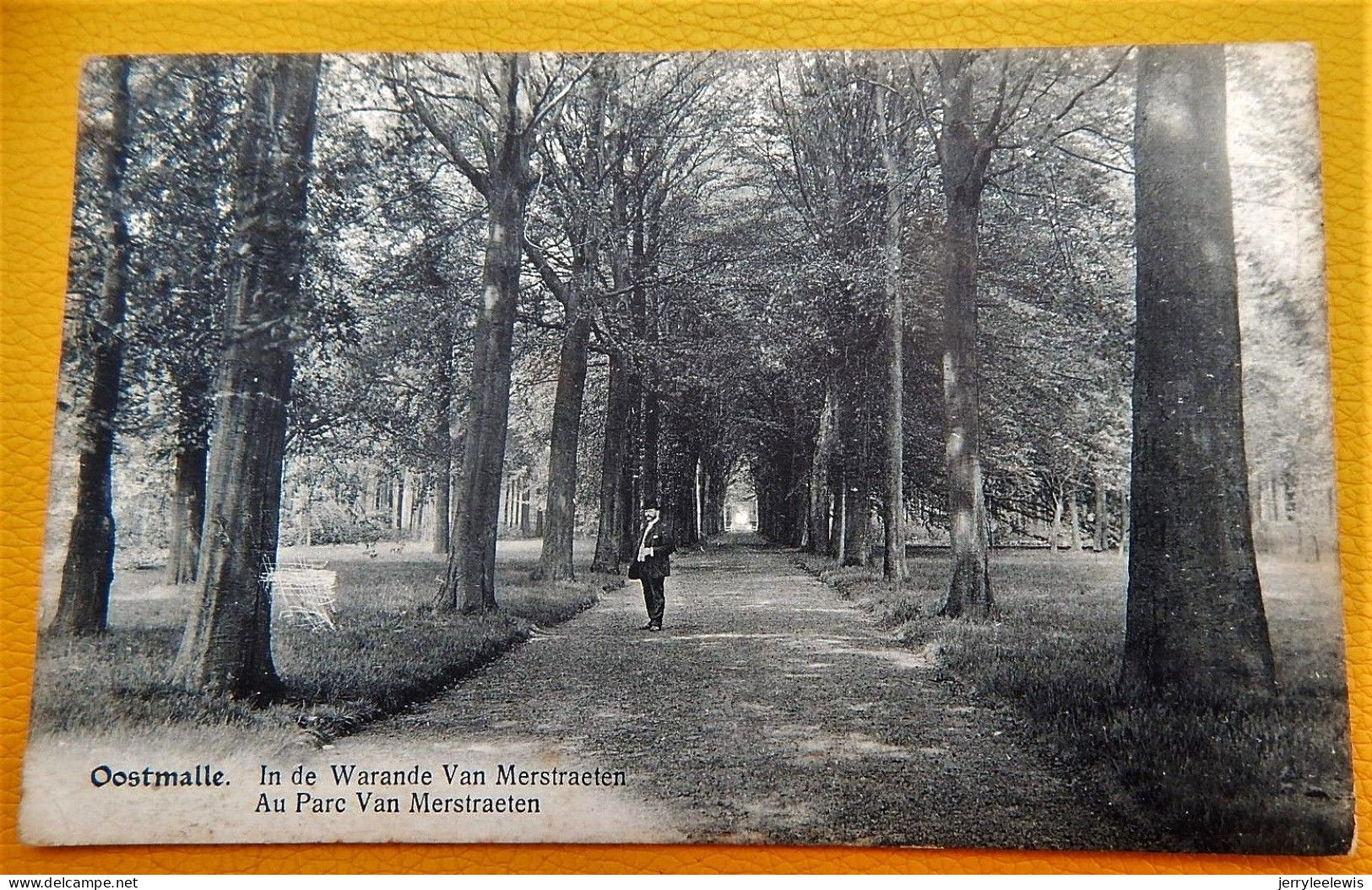 OOSTMALLE  - In De Warande Van Merstraeten  - Au Parc Van Merstraeten  -  1920 - Malle