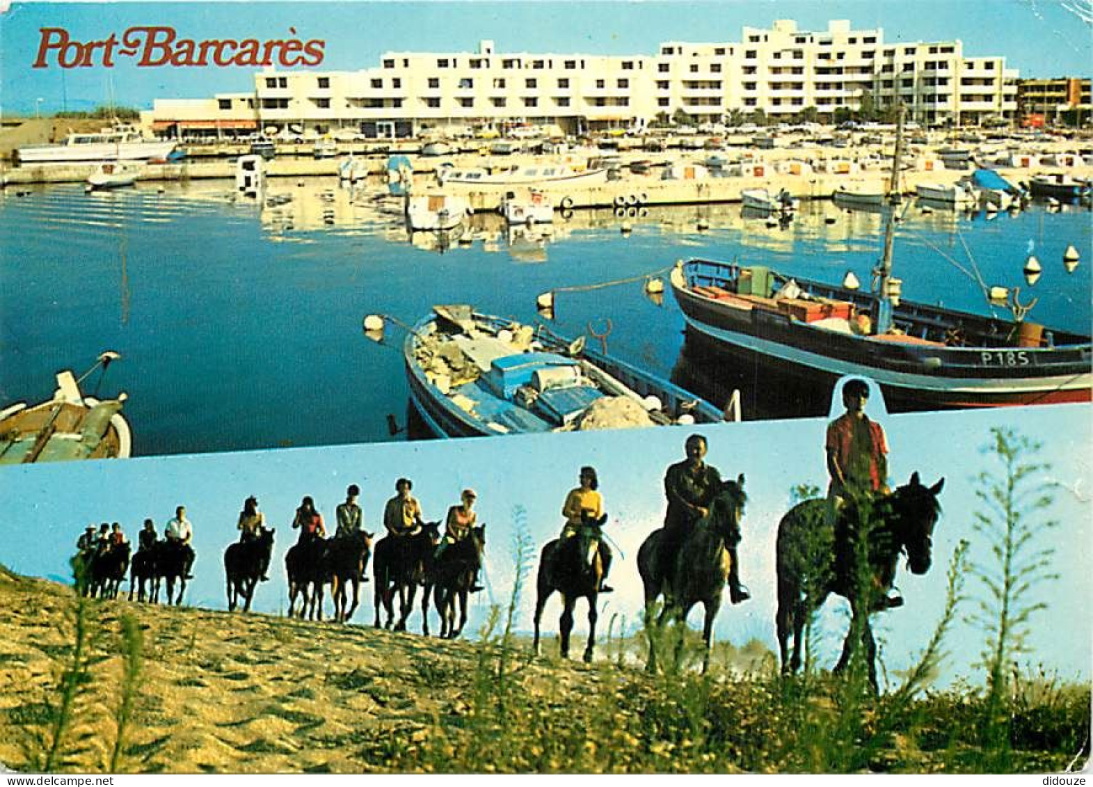 66 - Port Barcarès - Multivues - Chevaux - Immeubles - CPM - Voir Scans Recto-Verso - Port Barcares