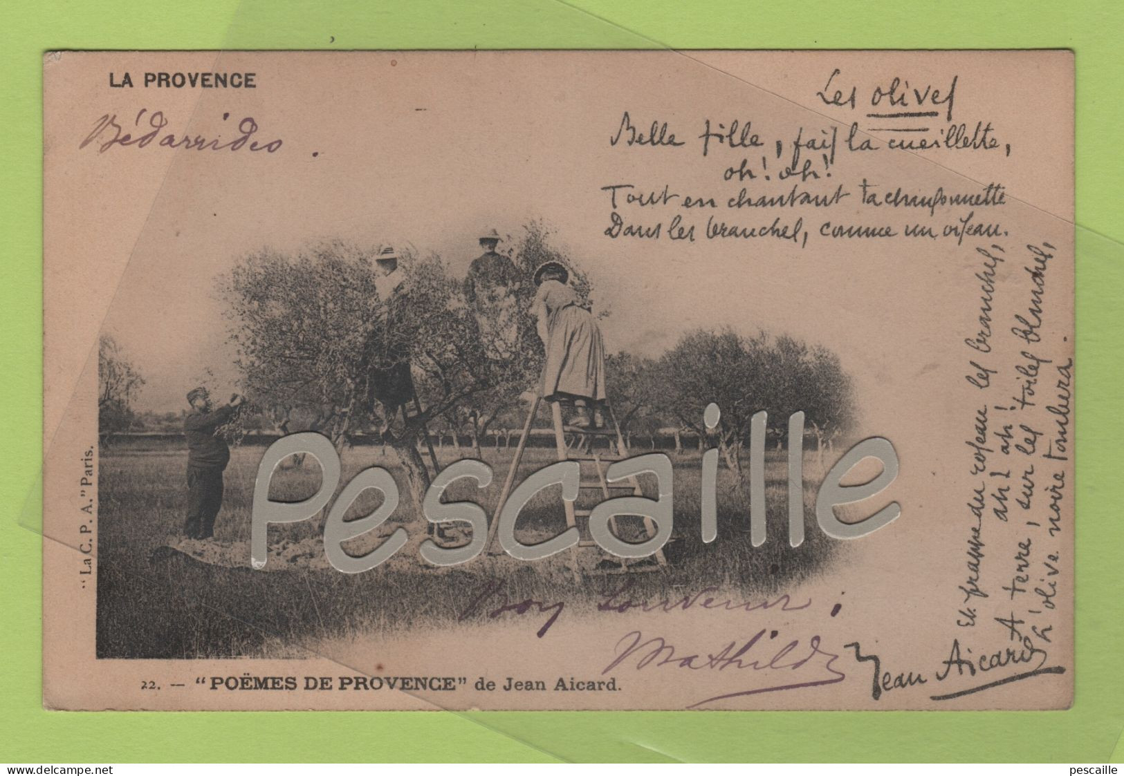 84 VAUCLUSE - CP ANIMEE LA PROVENCE - LES OLIVES - POEMES DE PROVENCE DE JEAN AICARD - LA C.P.A. PARIS N° 22 - CIRCULEE - Bedarrides