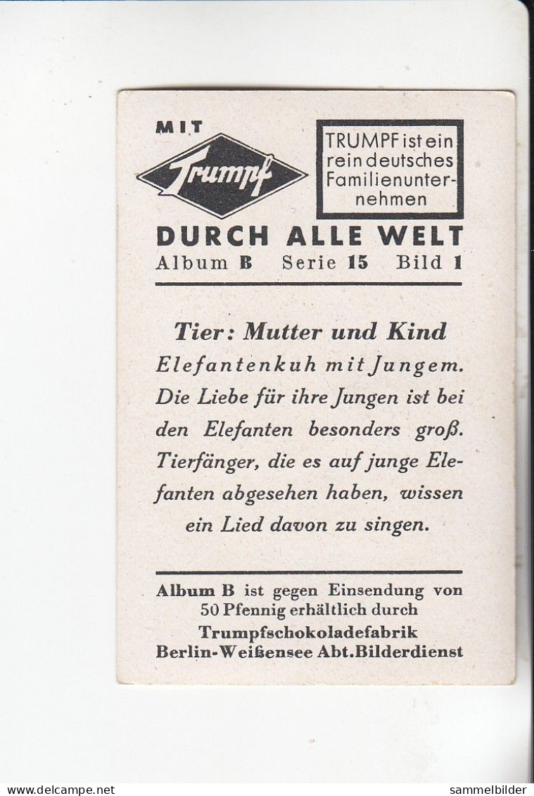 Mit Trumpf Durch Alle Welt Tier Mutter Und Kind  Elefantenkuh Mit Jungem   B Serie 15 #1 Von 1933 - Other Brands