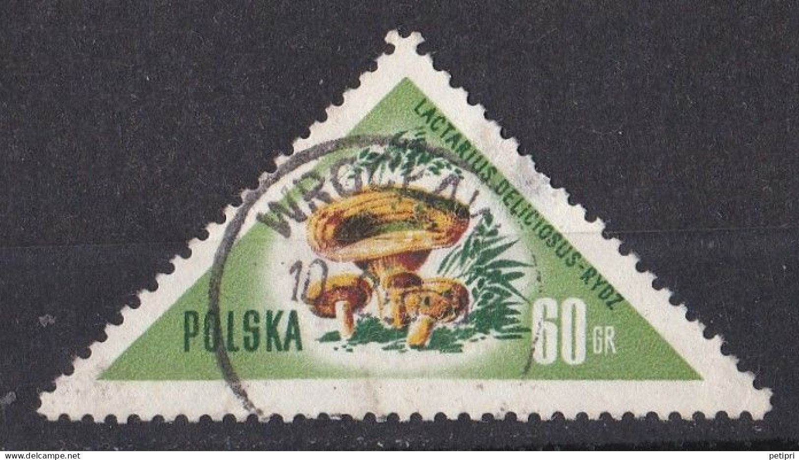 Pologne - République 1944 - 1960   Y & T N °  962  Oblitéré - Used Stamps