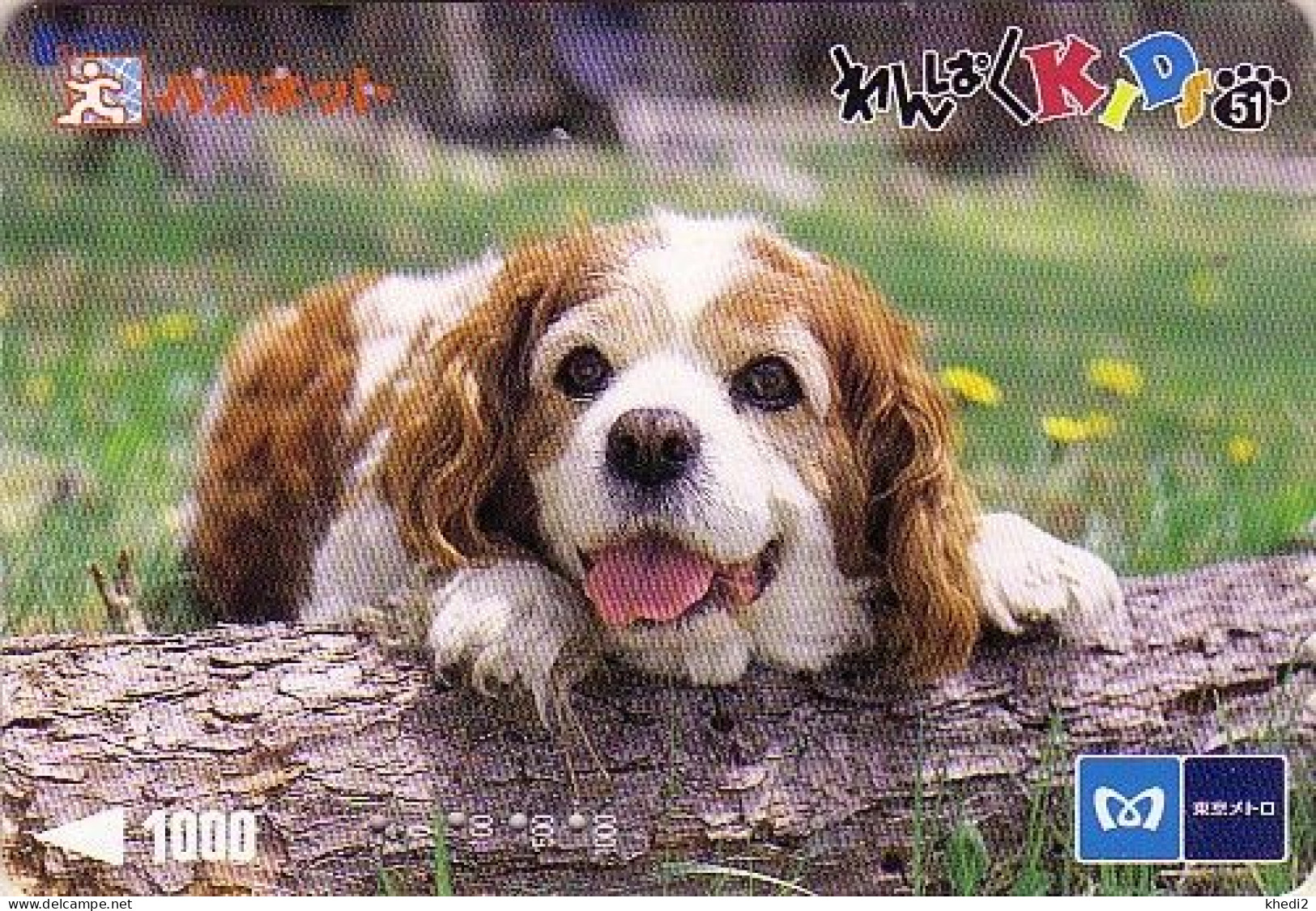 Carte Prépayée JAPON / Série KIDS 2 - ANIMAL - Chien CAVALIER KING CHARLES : 51/51 - DOG JAPAN Metro Card - HUND - 1265 - Dogs