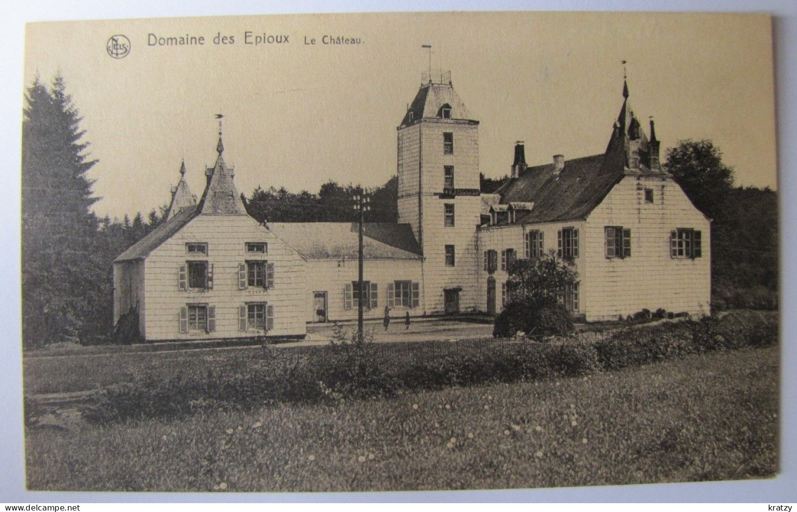 BELGIQUE - LUXEMBOURG - FLORENVILLE - Domaine Des Epioux - Le Château - Florenville