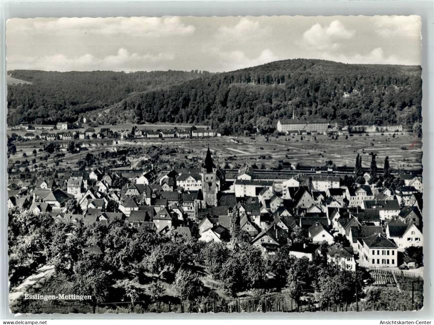 51812805 - Mettingen - Esslingen