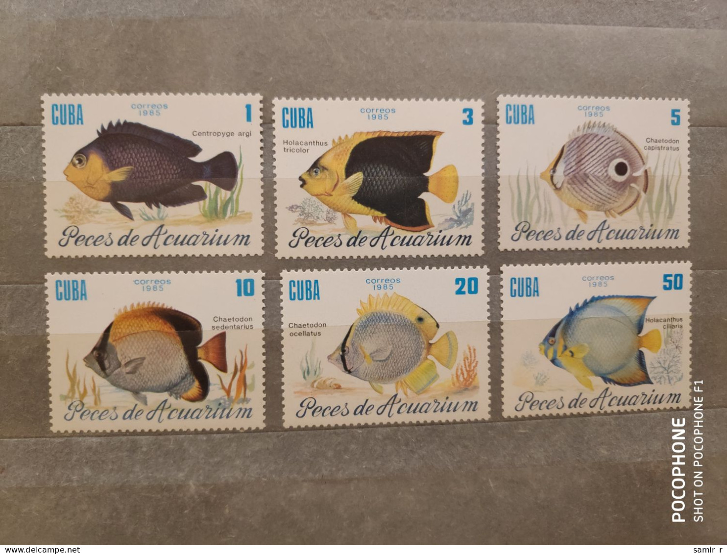 1985	Cuba	Fishes    (F90) - Ongebruikt