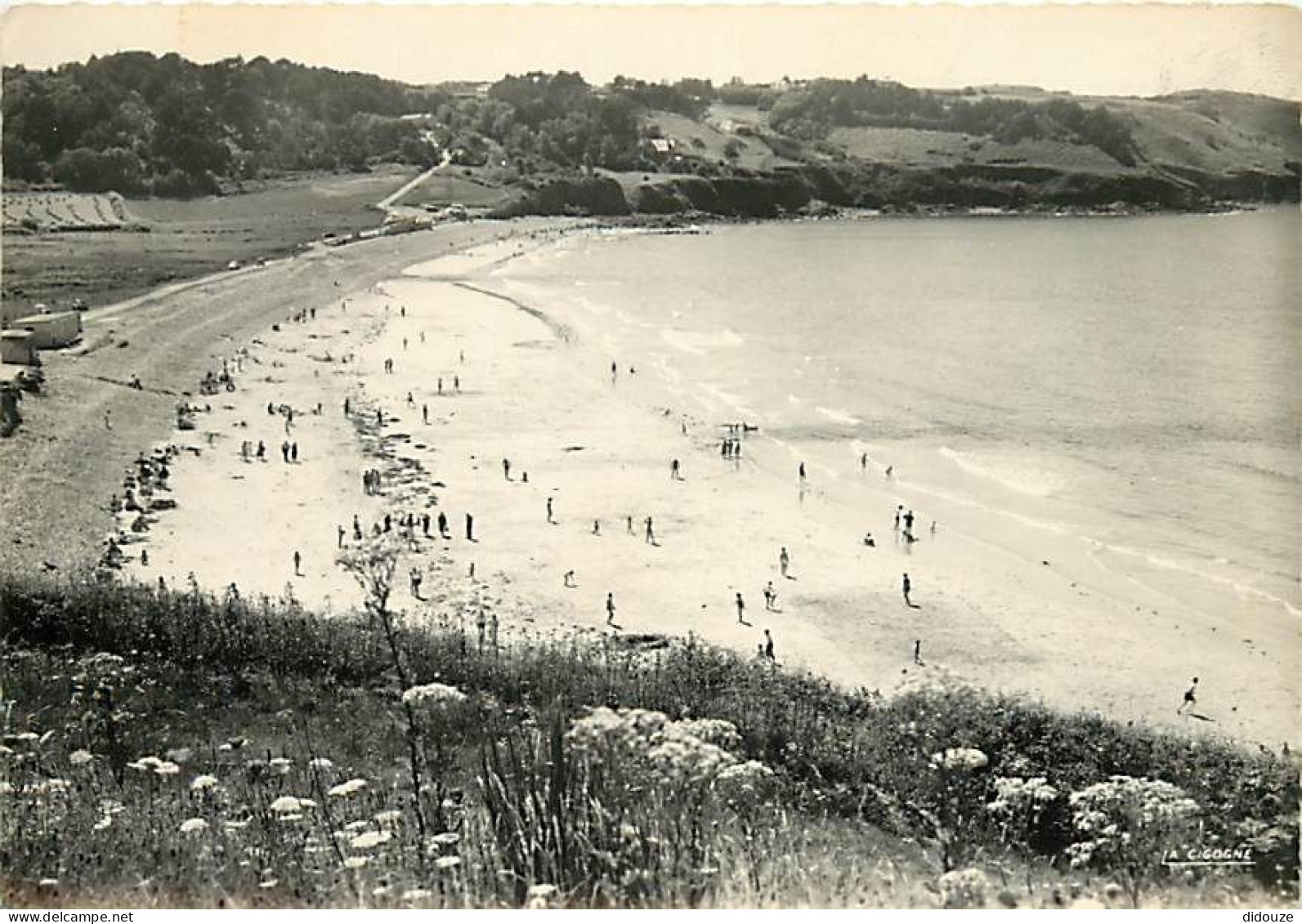 29 - Plougasnou - La Grande Plage - Scènes De Plage - CPSM Grand Format - Voir Scans Recto-Verso - Plougasnou