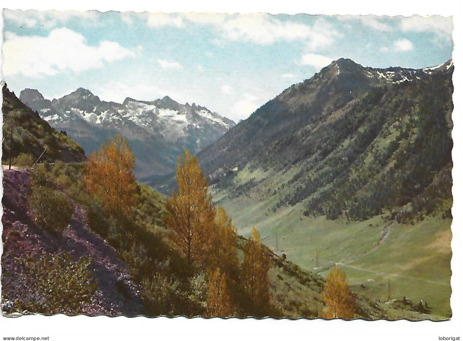 VALLE DE RUDA.-  VALLE DE ARAN - PIRINEU CATALA.- LLEIDA / LERIDA.- ( CATALUNYA) - Lérida