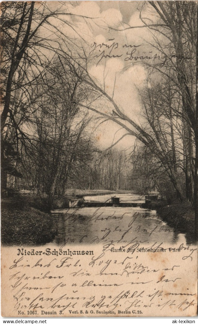 Niederschönhausen-Berlin Stadtteilansicht Partie Im Schönhauser Park 1906 - Pankow