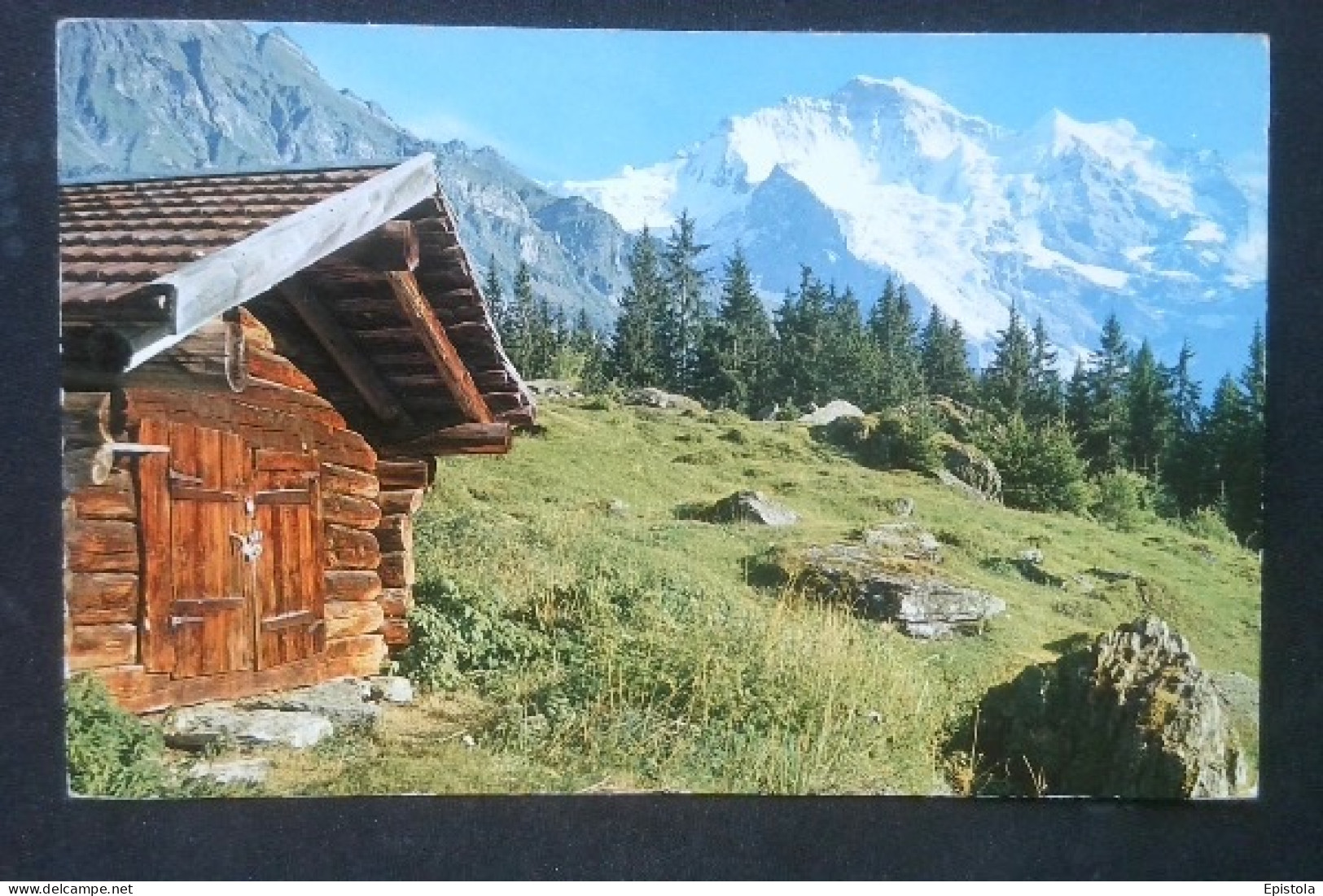 ► Wengen (BE). Jungfrau, 4167 M - (Schweiz/Suisse) - 1963 - Viel Enclos En Bois - Wengen