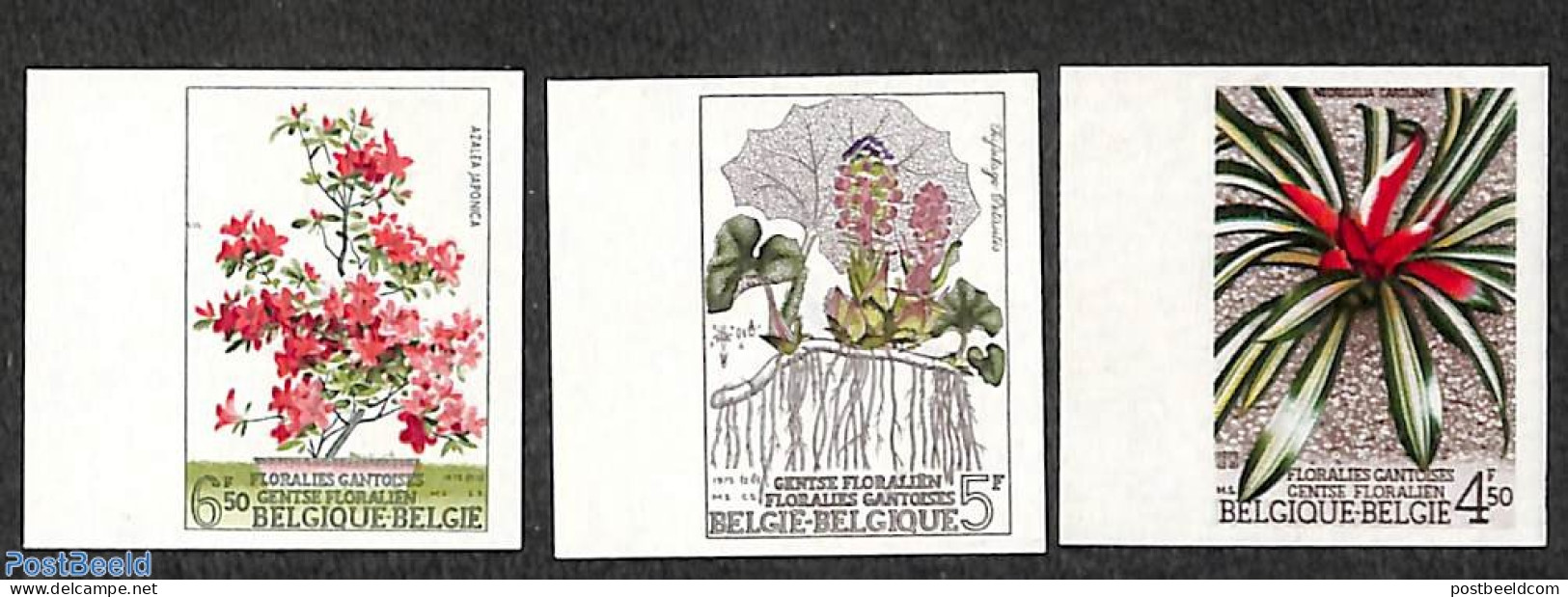 Belgium 1975 Flowers Show 3v, Imperforated, Mint NH, Nature - Flowers & Plants - Ungebraucht