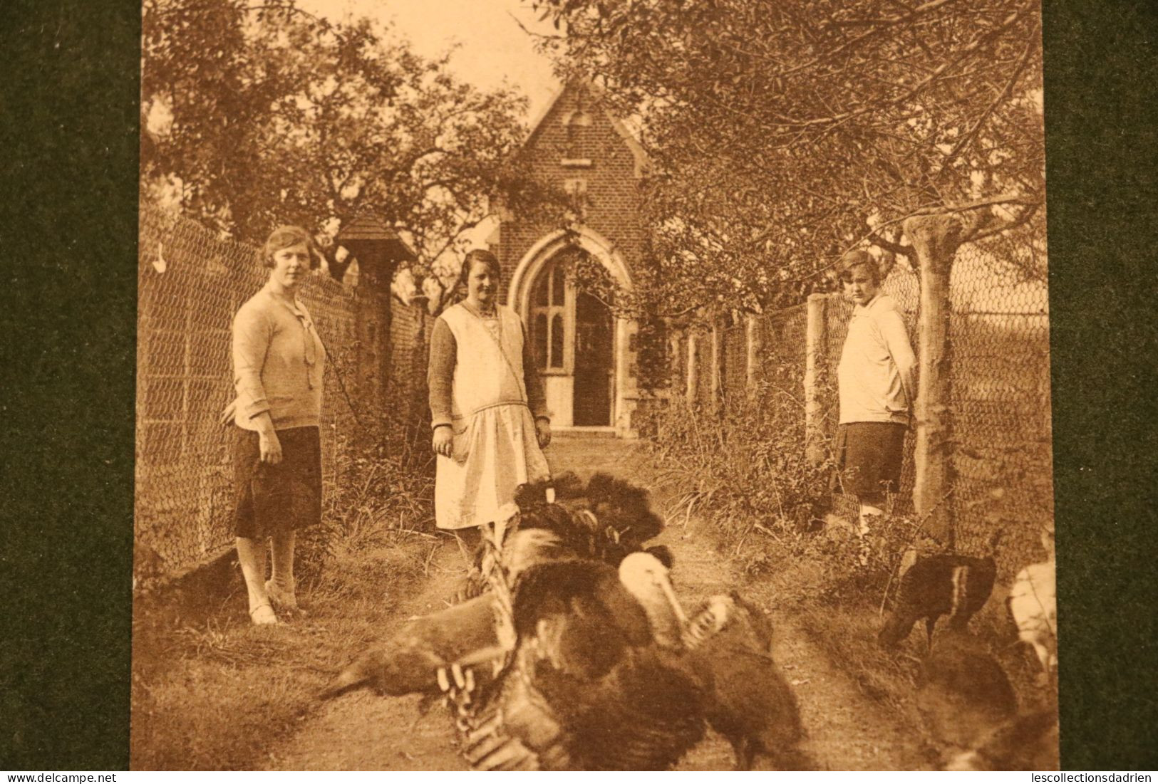 Carte Postale  Tessenderloo Institut Saint Joseph Vue Du Verger Dindons - 1935 - Tessenderlo