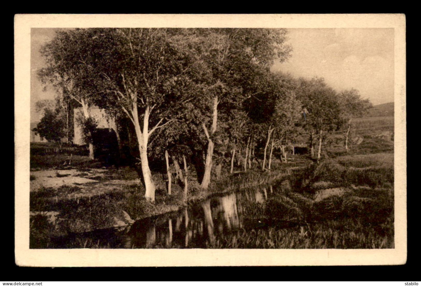 ALGERIE - SAHARA - TIARET - MOULIN DE LA MINA - Tiaret