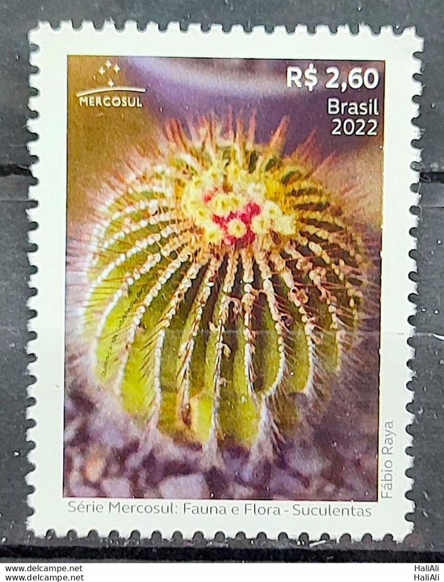 C 4070 Brazil Stamp Mercosul Series Fauna And Flora Suculents 2022 - Neufs