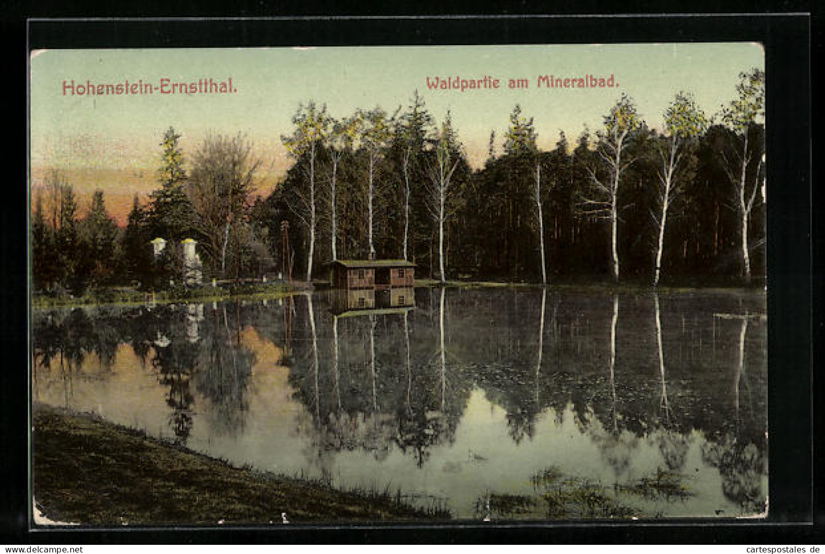 AK Hohenstein-Ernstthal, Waldpartie Am Mineralbad  - Hohenstein-Ernstthal