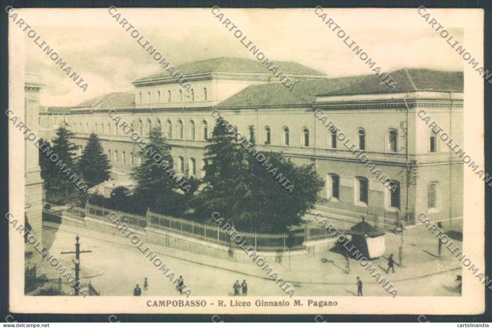 Campobasso Città Scuola Cartolina ZB3295 - Campobasso