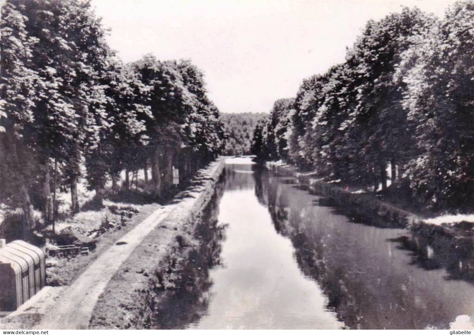 70 - Haute Saone -  PORT  Sur SAONE  - Canal De L'est - Promenade Des Marronniers - Port-sur-Saône