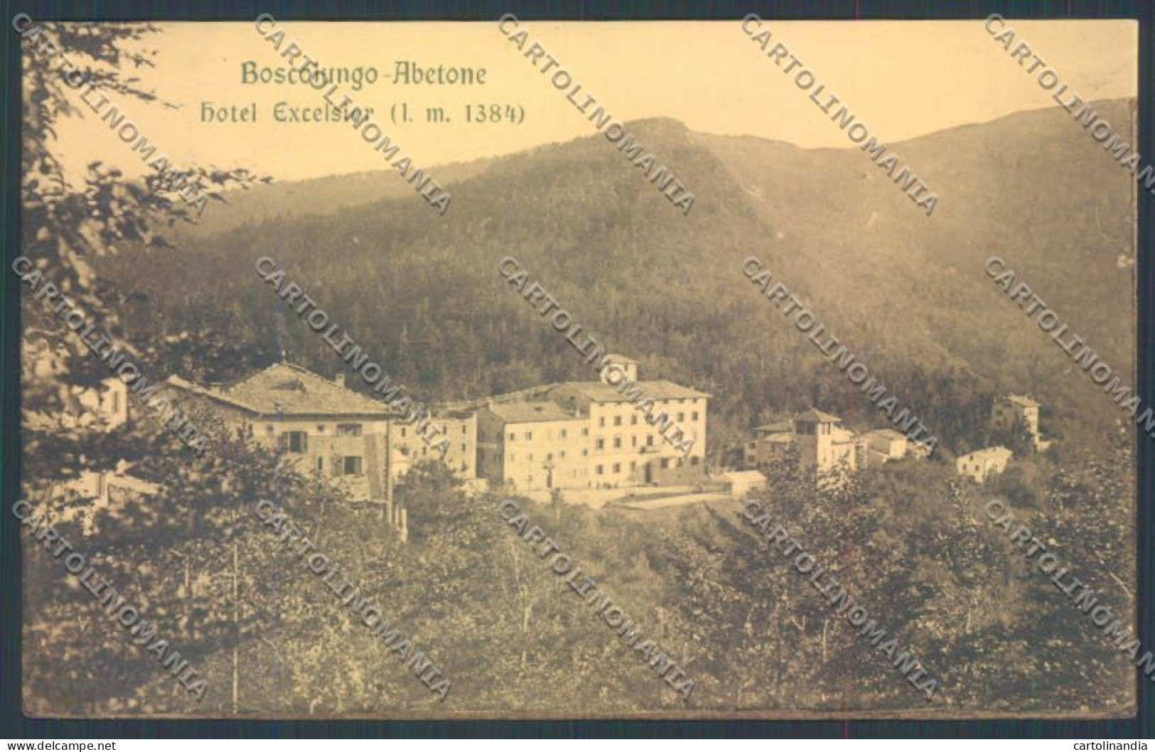 Pistoia Boscolungo Cartolina ZB4528 - Pistoia