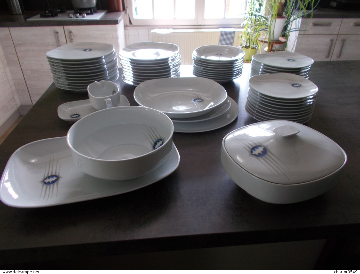 Service De Porcelaine 120 Euros Ou Faire Offre - Limoges (FRA)