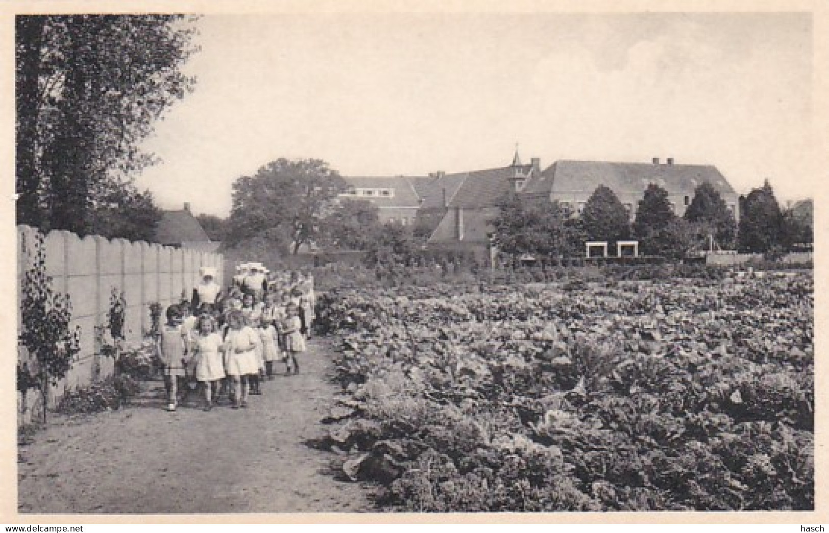 3726	158	Ravels, O. L. Vrouw Van De Kempen Open Lucht School Voor Zwakke Meisjes Al Wandelend Door De Moestuin. - Ravels