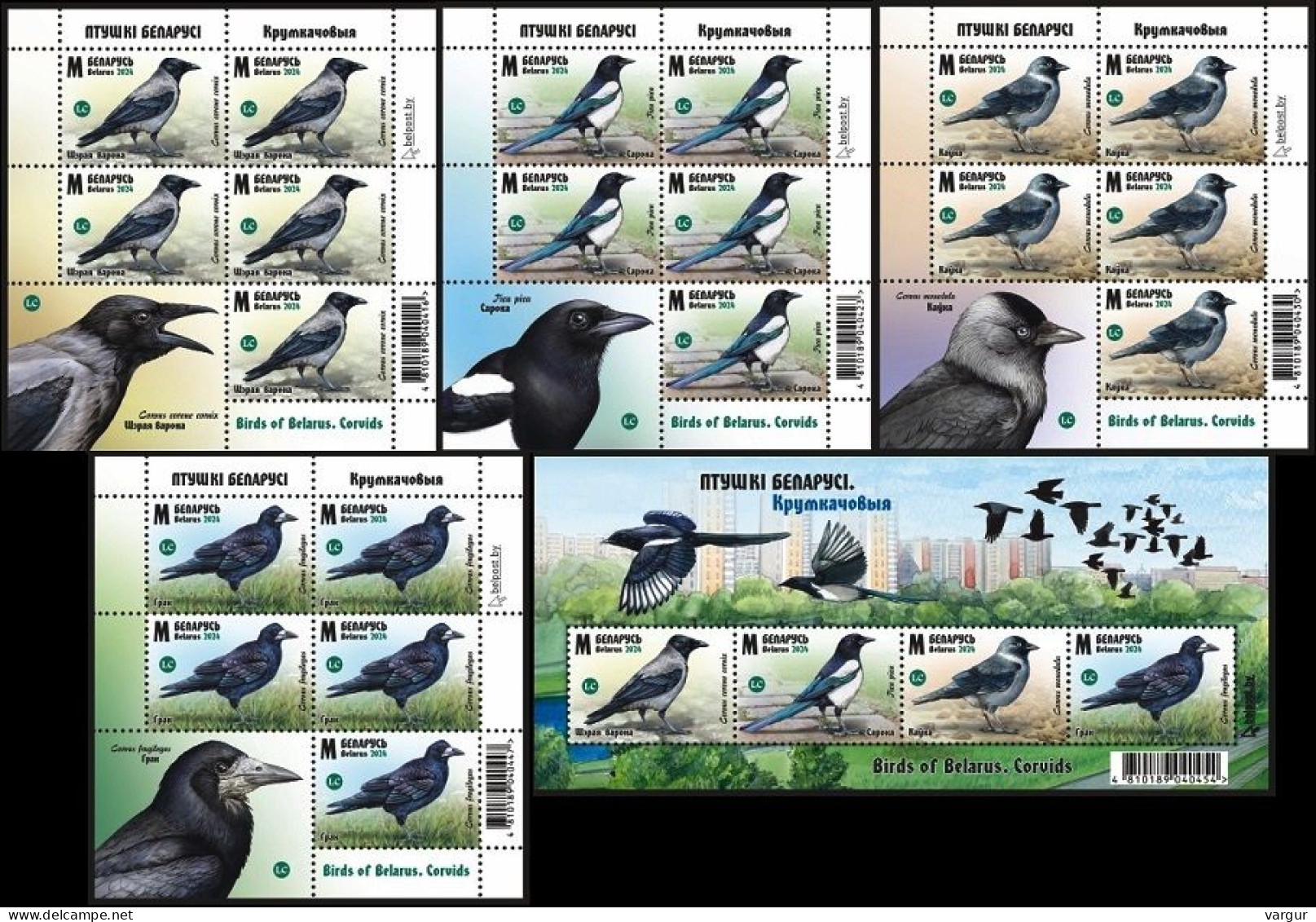 BELARUS 2024-08 FAUNA Animals Birds: Corvids. Crow Magpie Etc. Complete 5 Sheets, MNH - Boerderij