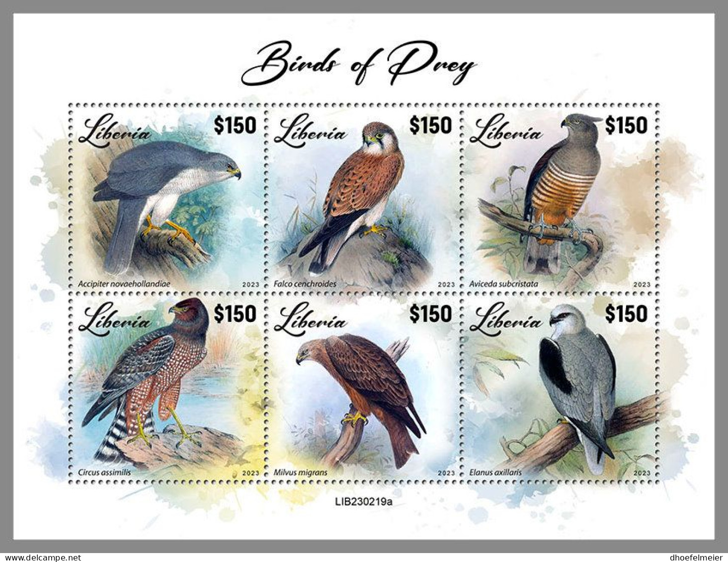 LIBERIA 2023 MNH Birds Of Preys Greifvögel Raubvögel M/S – IMPERFORATED – DHQ2417 - Eagles & Birds Of Prey