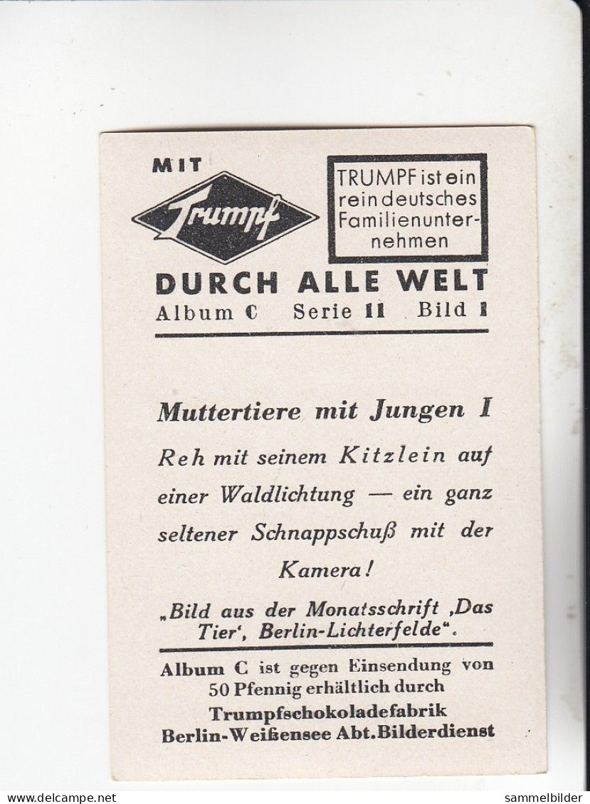 Mit Trumpf Durch Alle Welt Muttertiere Mit Jungen I Reh Und Kitzlein     C Serie 11 # 1 Von 1934 - Other Brands