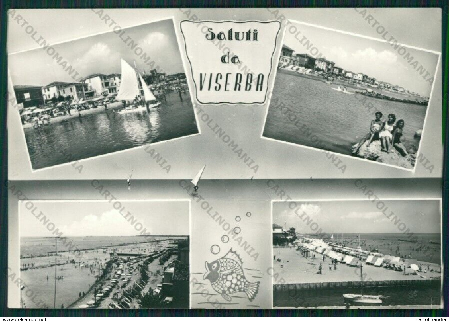 Rimini Viserba Saluti Da PIEGHINA Foto FG Cartolina KB0954 - Rimini