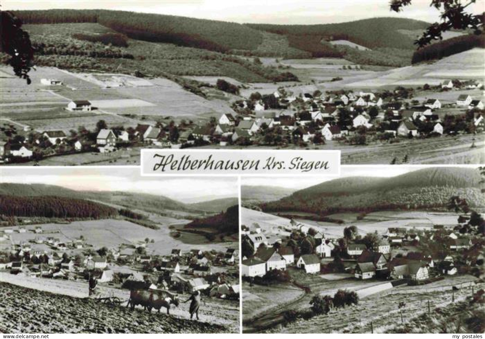 73972765 Helberhausen_Hilchenbach_NRW Panorama Gesamtansicht Landwirtschaft - Hilchenbach