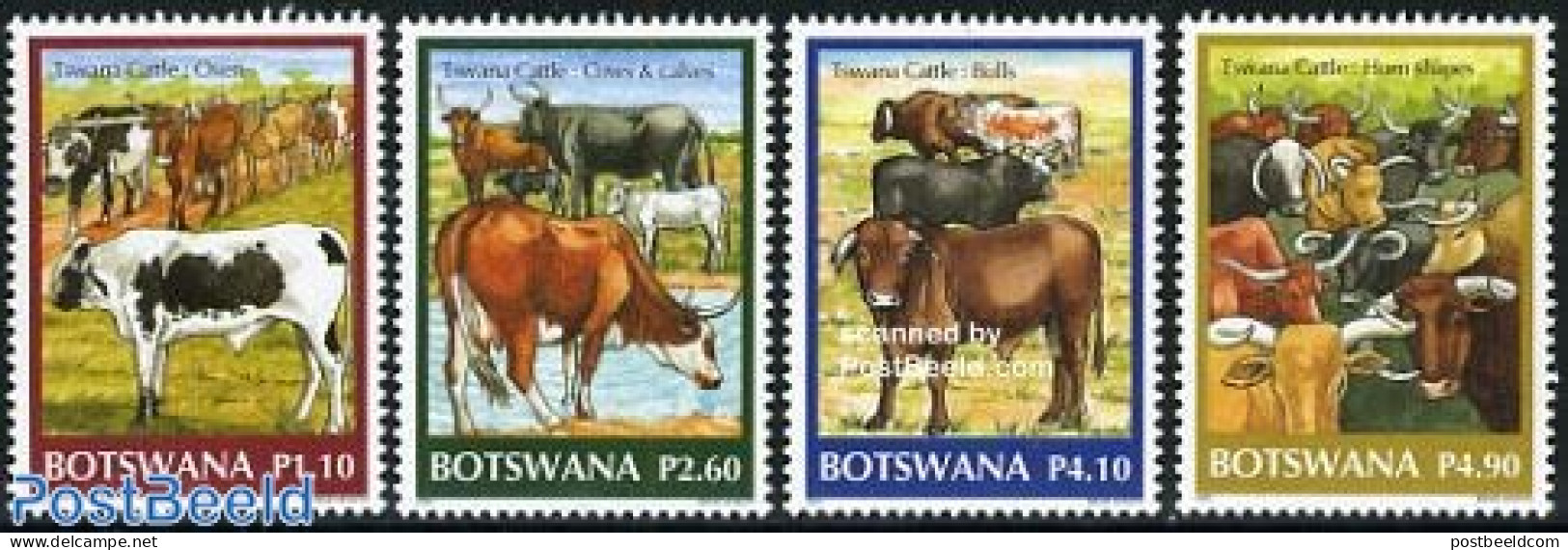 Botswana 2006 Tswana Cattle 4v, Mint NH, Nature - Animals (others & Mixed) - Cattle - Botswana (1966-...)