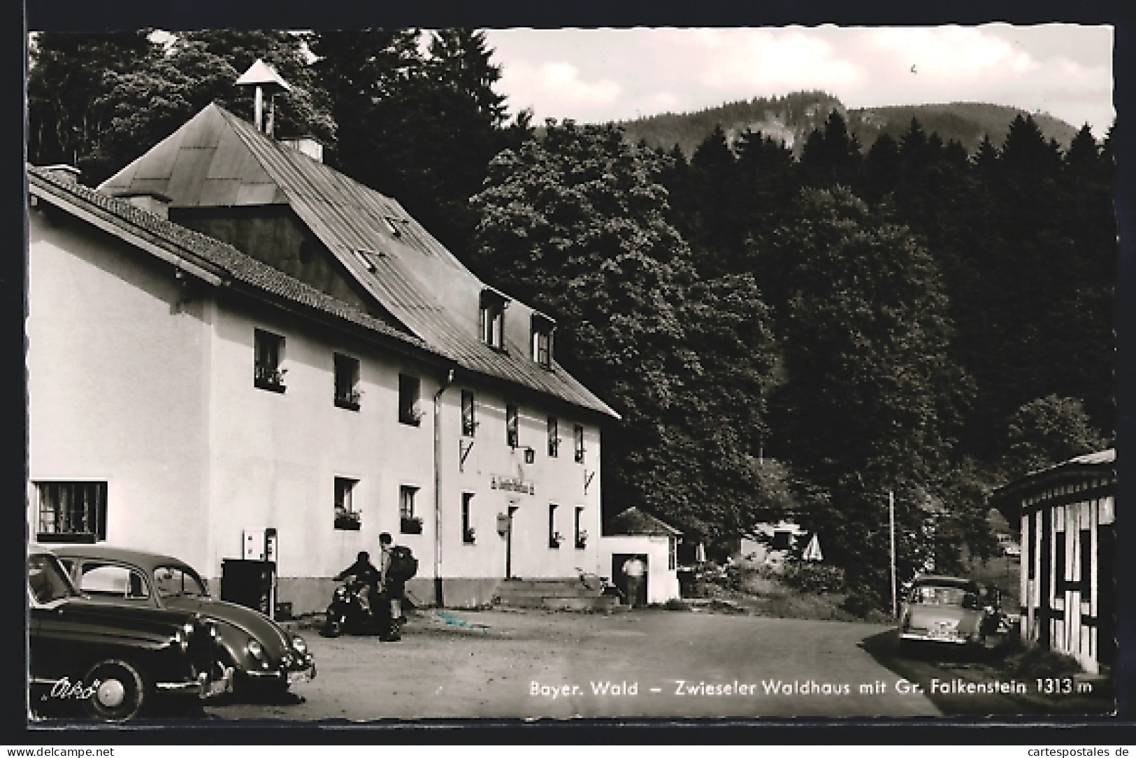 AK Zwiesel /Bayer. Wald, Zwieseler Waldhaus Mit Gr. Falkenstein  - Zwiesel